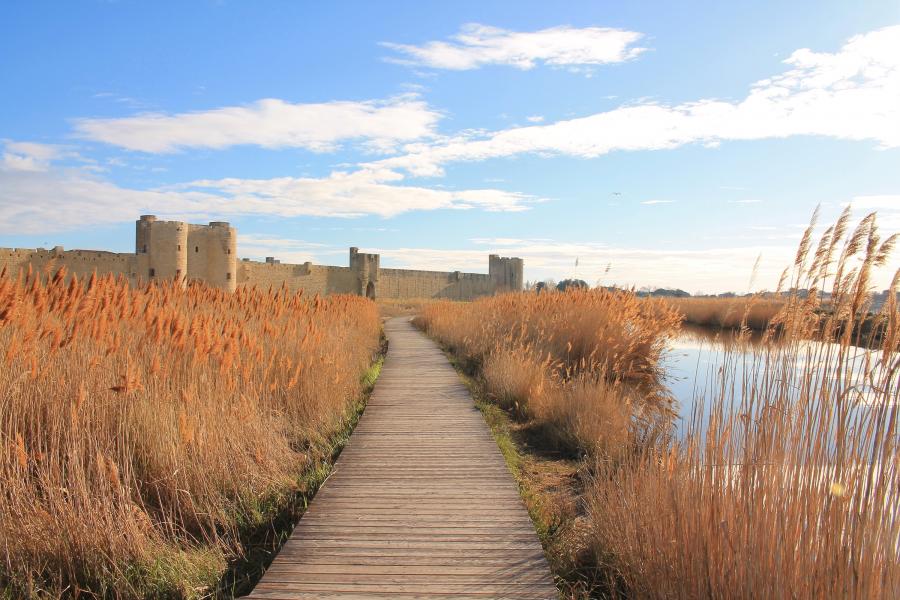 Hôtel Artemia - Aigues Mortes