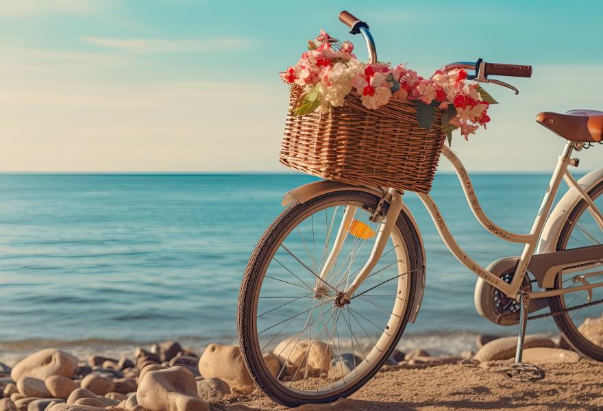 Hotel Artemia - Bicycle